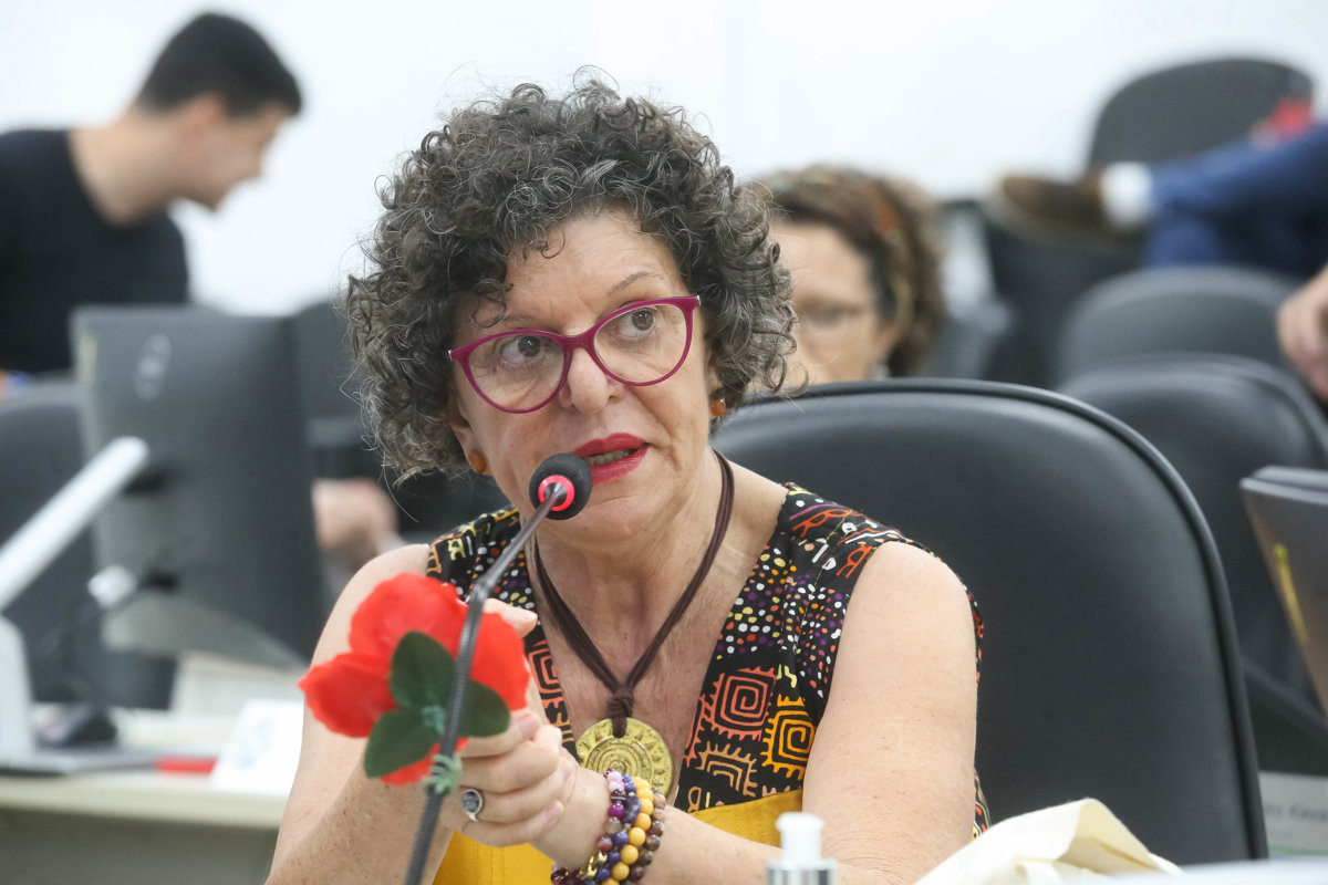 Vereadora Rai de Almeida relatou invasão e depredação em escola municipal e apresentou registros de problemas em diferentes regiões da cidade