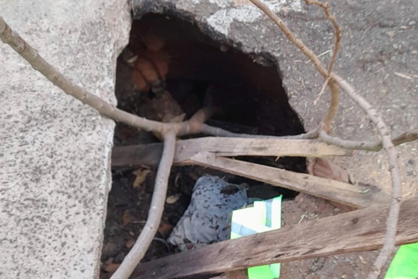 Vereador Pedro Kawai (PSDB) solicitou providências urgentes por parte do Poder Público