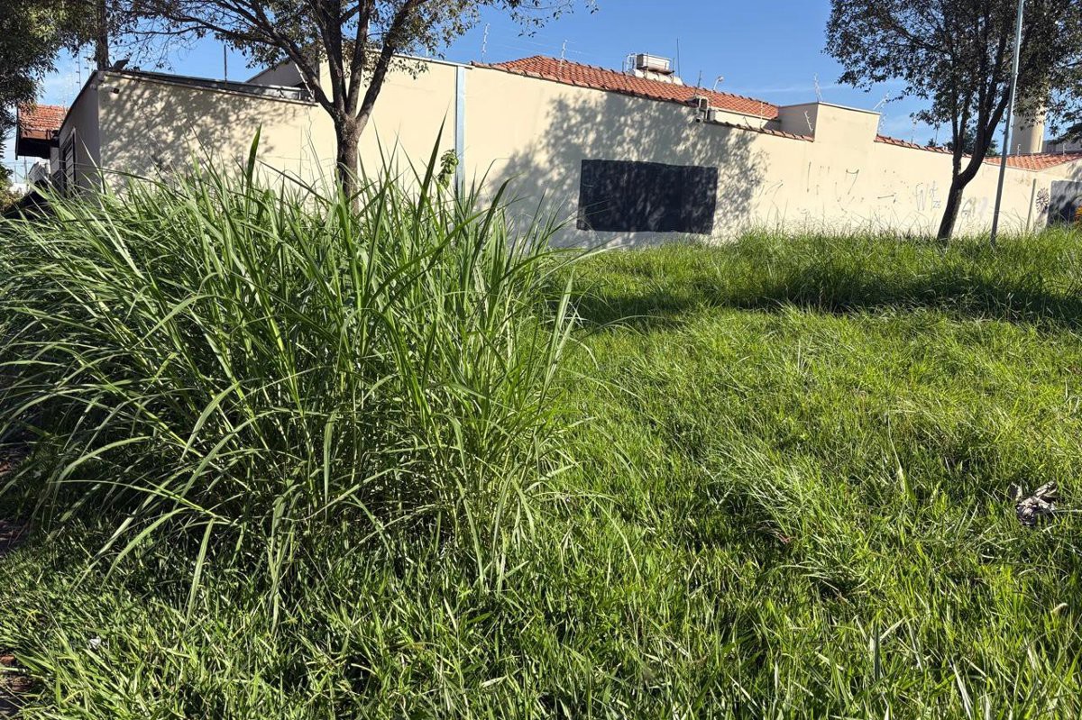 Vereador Pedro Kawai (PSDB) solicita a realização de corte de mato e limpeza da área