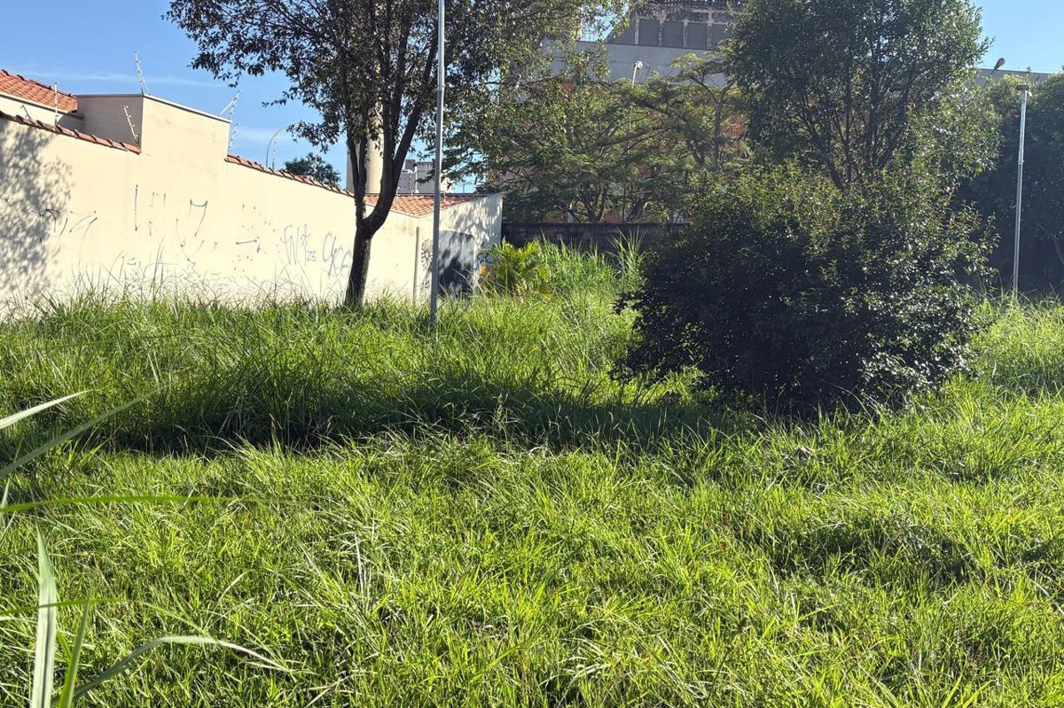 Vereador Pedro Kawai (PSDB) solicita a realização de corte de mato e limpeza da área