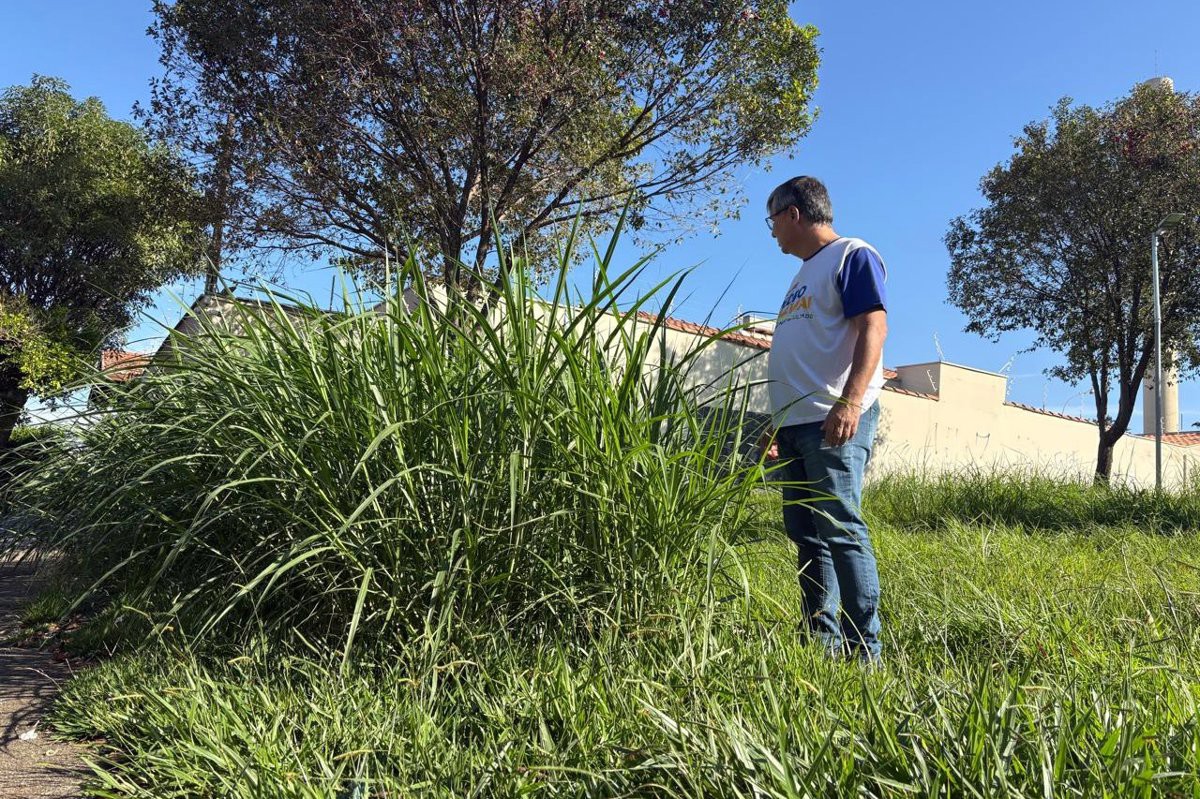 Vereador Pedro Kawai (PSDB) solicita a realização de corte de mato e limpeza da área