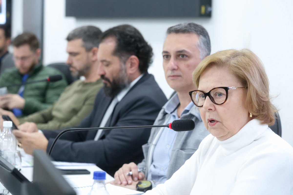 A audiência foi realizada no Plenário "Francisco Antonio Coelho", e contou com a presença de vereadores e representantes do Executivo 