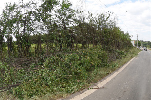 Moradores do bairro Pau queimado sofrem com a falta de infraestrutura na pista.