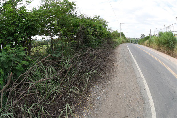 Moradores do bairro Pau queimado sofrem com a falta de infraestrutura na pista.