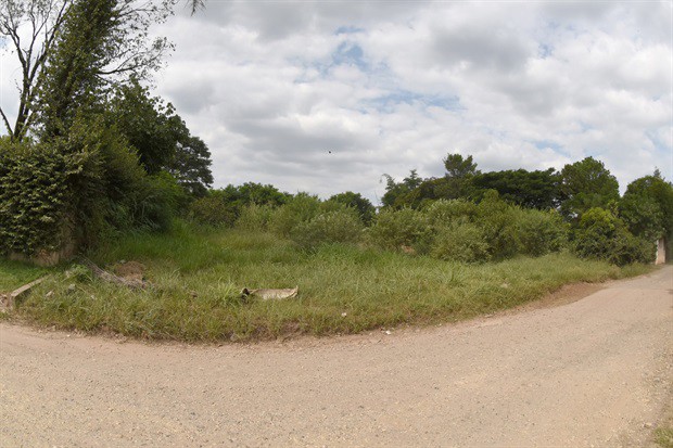 Mato alto em terreno gera preocupação aos moradores