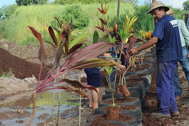 Revitalização de área no Nova Suíça tem a participação de Gilmar Rotta