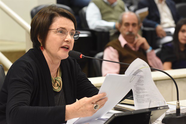 Plenário ratifica projeto que norteia ações em defesas das mulheres