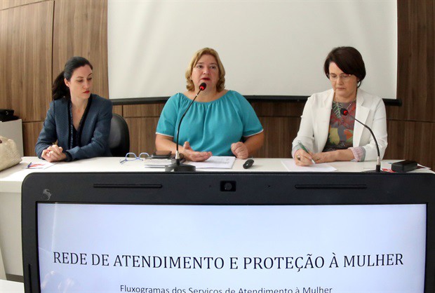 Grupo se reuniu na manhã desta terça-feira na Câmara