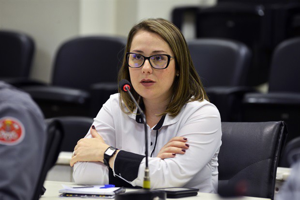 Encaminhamento foi identificado a partir das discussões com as entidades