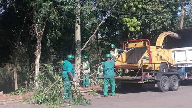 Moradores relataram que os galhos das árvores estavam causando transtornos.