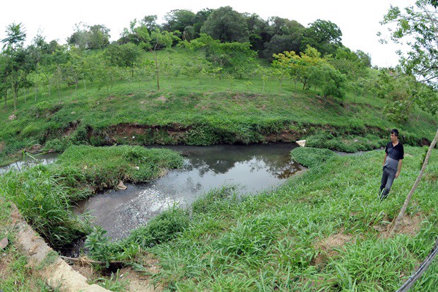 Vereador verificou denúncia de despejo de esgoto em córrego