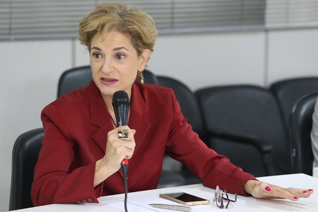 6ª reunião do Fórum de Arborização aconteceu nesta sexta-feira (21