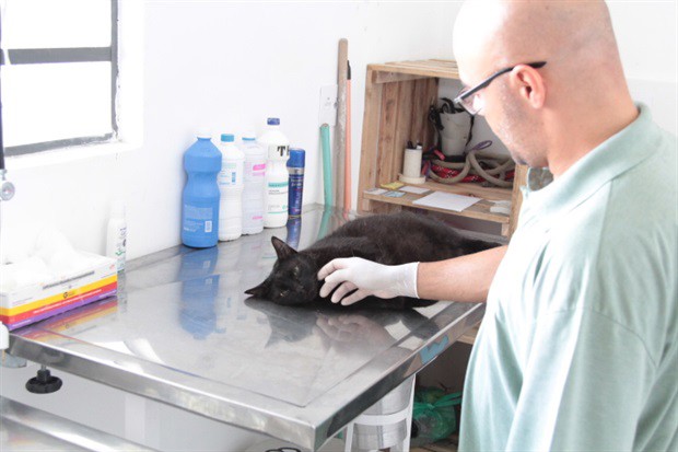 A vereadora visitou a UBASA de São Vicente