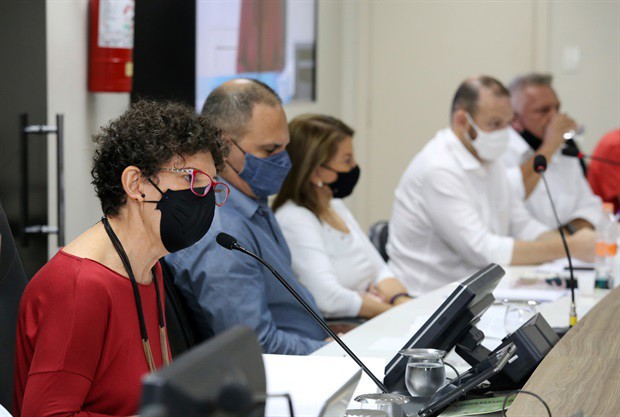 Discussão ocorreu por força de requerimento da vereadora Rai de Almeida