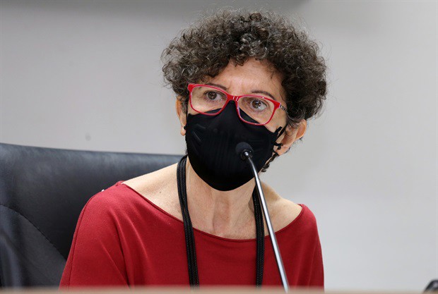 Discussão ocorreu por força de requerimento da vereadora Rai de Almeida