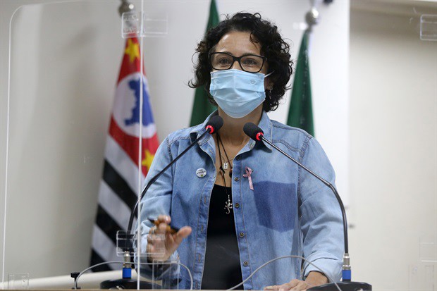 Sílvia, presidente da Comissão de Meio Ambiente e Desenvolvimento Sustentável da Câmara, lembrou do déficit habitacional da cidade é da ordem de 10 mil unidades