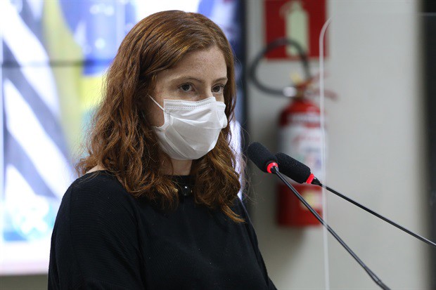 Sofia Rontani defendeu a aprovação de emendas ao PLC 19/2021