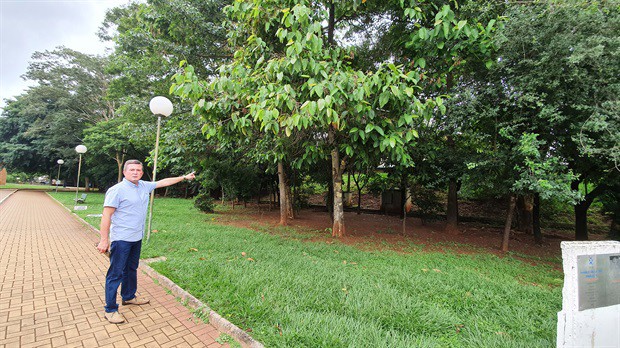 Laércio Trevisan Jr. acompanhou o serviço de poda de árvores na Estação da Paulista