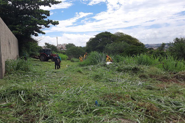 Mato alto preocupava moradores do Mário Dedini, que temiam encontro com animais peçonhentos