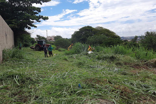 Mato alto preocupava moradores do Mário Dedini, que temiam encontro com animais peçonhentos