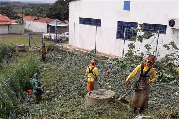 Mato alto preocupava moradores do Mário Dedini, que temiam encontro com animais peçonhentos