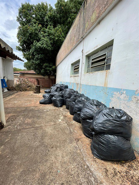 Galhos e folhas caindo causam transtornos e riscos aos funcionários e alunos da escola