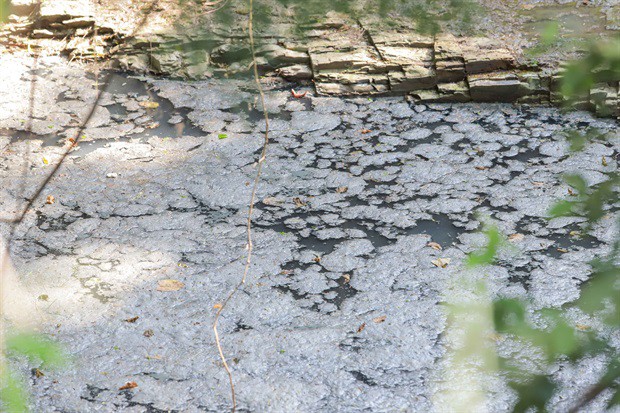 Vereadores da comissão verificaram descarte irregular no Santa Rosa e Santa Terezinha