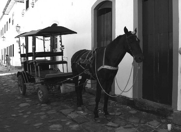 Governo provincial enviou um conto de réis ao hospital dos leprosos