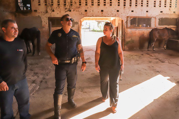 Para Alessandra Bellucci, é importante trocar experiências com outros municípios, já que a causa animal é única