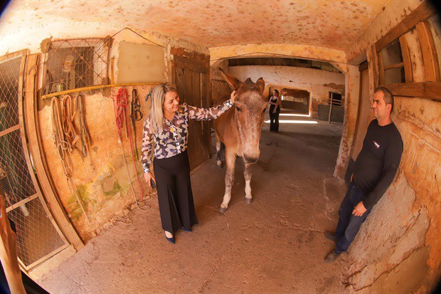 Para Alessandra Bellucci, é importante trocar experiências com outros municípios, já que a causa animal é única