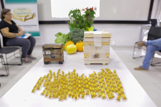 Evento abordou dicas para criação de abelhas nativas no ambiente urbano