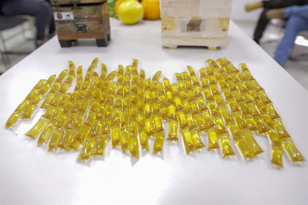 Evento abordou dicas para criação de abelhas nativas no ambiente urbano