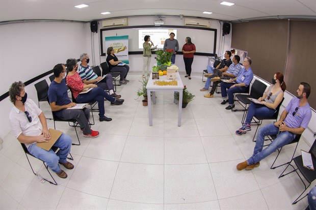 Evento abordou dicas para criação de abelhas nativas no ambiente urbano