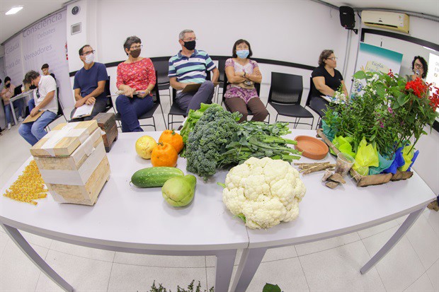 Evento abordou dicas para criação de abelhas nativas no ambiente urbano