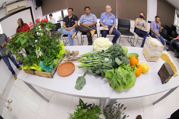 Evento abordou dicas para criação de abelhas nativas no ambiente urbano