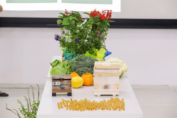 Evento abordou dicas para criação de abelhas nativas no ambiente urbano