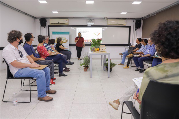 Evento abordou dicas para criação de abelhas nativas no ambiente urbano