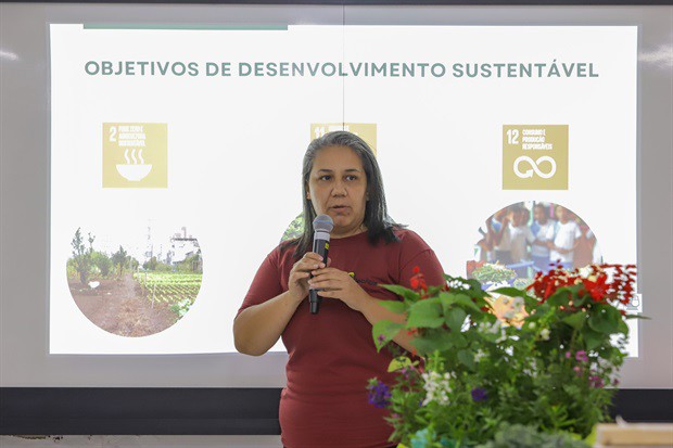 Evento abordou dicas para criação de abelhas nativas no ambiente urbano