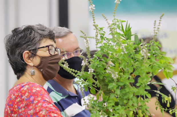 Evento abordou dicas para criação de abelhas nativas no ambiente urbano