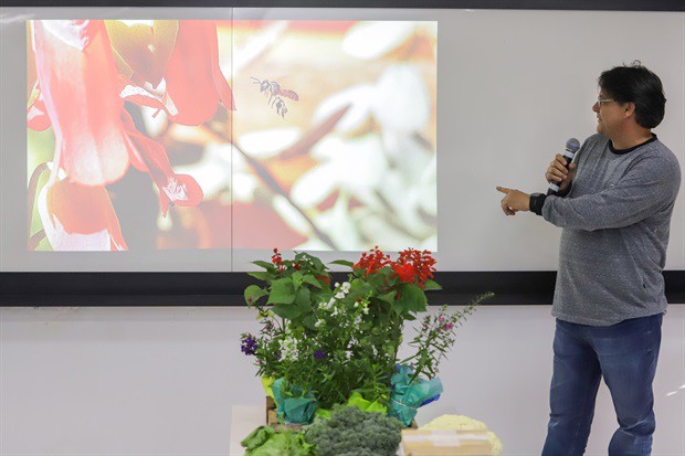 Evento abordou dicas para criação de abelhas nativas no ambiente urbano