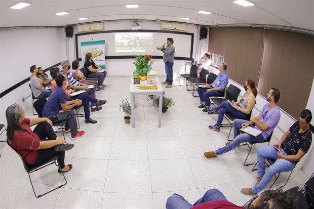 Evento abordou dicas para criação de abelhas nativas no ambiente urbano