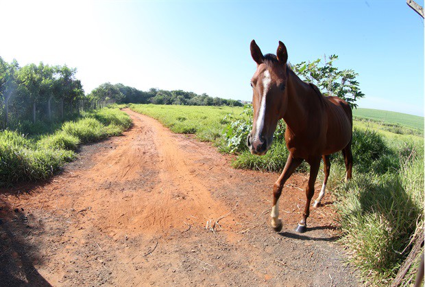 Projetos autorizam a desincorporação e alienação dos imóveis para empreendimentos imobiliários