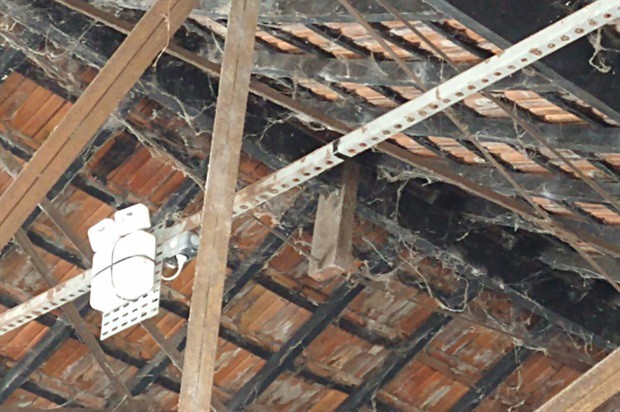 Festa das Nações: vereadora pede plano gerencial e contenção de riscos