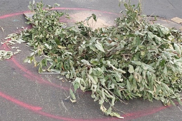 Demanda foi apresentada pelos moradores ao vereador André Bandeira (PSDB)