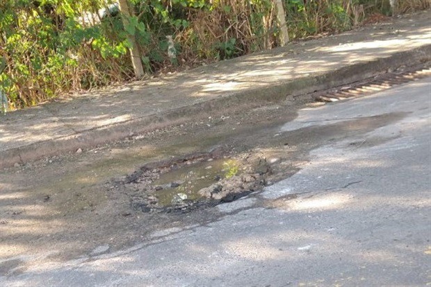Vereador Paulo Nardino protocola indicações sobre demandas da região Santa Teresinha