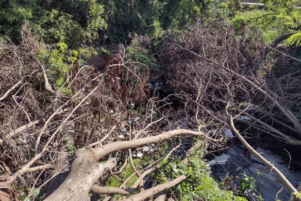 A pedido de moradores, vereador percorreu bairros com o secretário de Obras