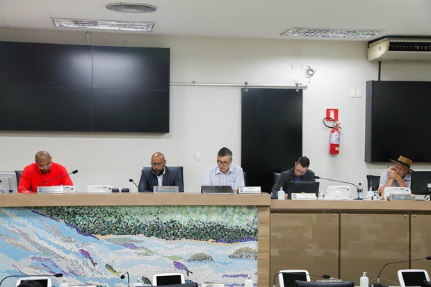 Depoimento da médica, nesta terça-feira (17), foi ponto-chave para os trabalhos da CPI