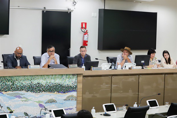 Depoimento da médica, nesta terça-feira (17), foi ponto-chave para os trabalhos da CPI