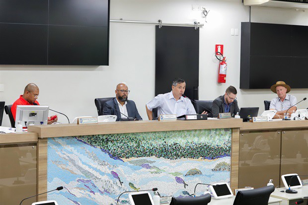 Depoimento da médica, nesta terça-feira (17), foi ponto-chave para os trabalhos da CPI