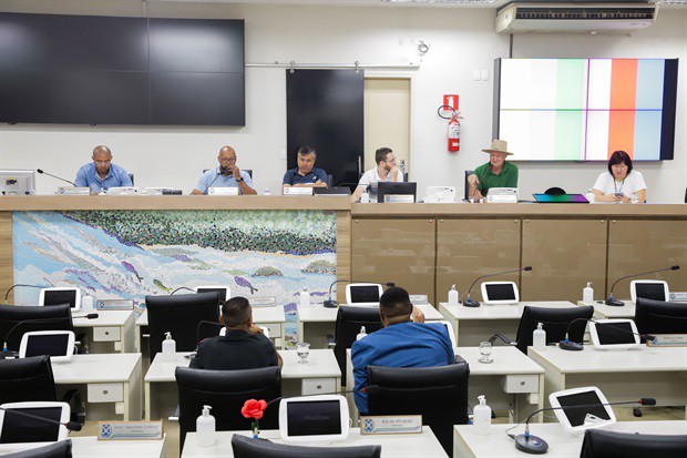 Mãe, tio e avô de Jamilly relataram à CPI como foi o atendimento da criança na UPA